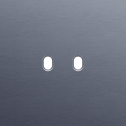 Enkelvoudige afdekplaat, voor tweevoudige schakelfuncties, N