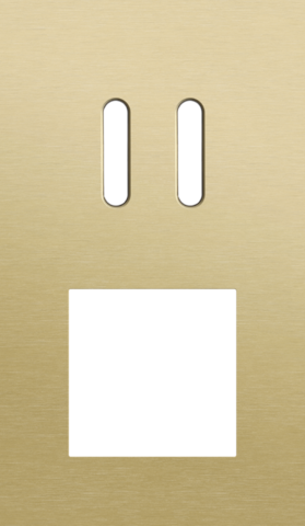 Tweevoudige afdekplaat, verticaal 60 mm centerafstand, voor