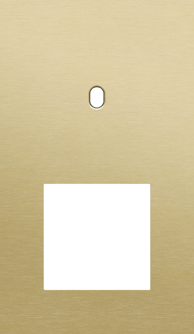 Tweevoudige afdekplaat, verticaal 60 mm centerafstand, voor