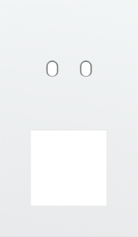 Tweevoudige afdekplaat, verticaal 60 mm centerafstand, voor