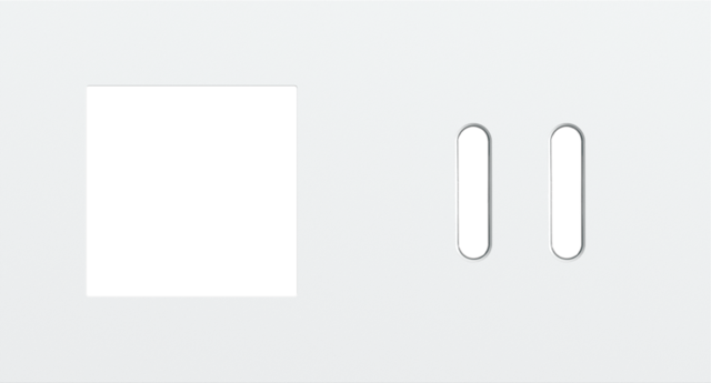 Tweevoudige afdekplaat, horizontaal 71 mm centerafstand,voor