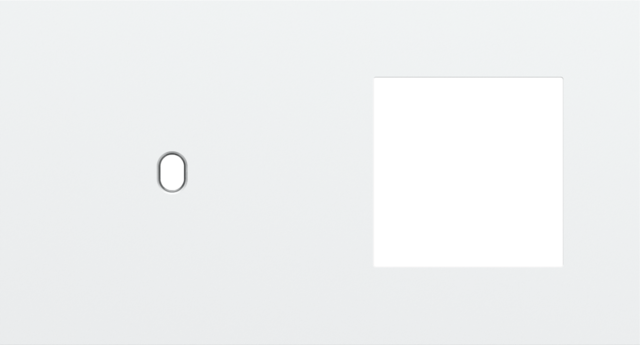 Tweevoudige afdekplaat, horizontaal 71 mm centerafstand,voor