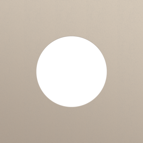 Enkelvoudige afdekplaat, voor één stopcontact, Niko Rocker e