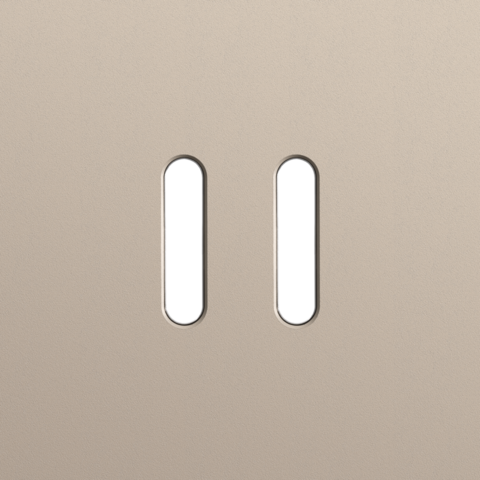 Enkelvoudige afdekplaat, voor tweevoudige schakelfuncties, N