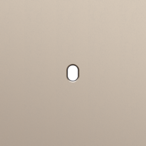 Enkelvoudige afdekplaat, voor enkelvoudige schakelfuncties,