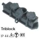 TRIBLOK MET PINAARDE