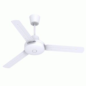 ICF55                  11729