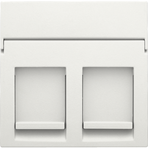 Niko 101-65200: Centraalplaat data 2x RJ, white