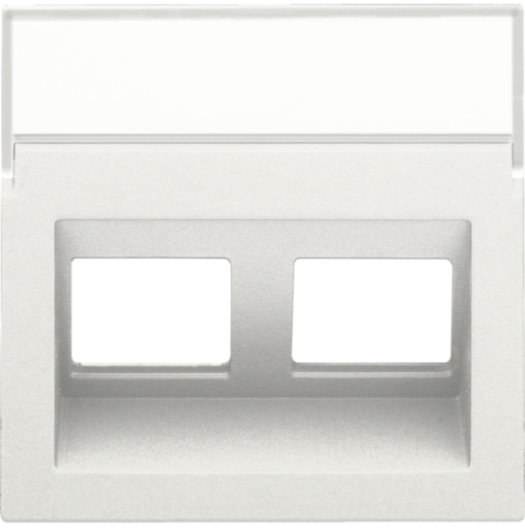 Centraalplaat data 2x RJ schuine uitgang, white