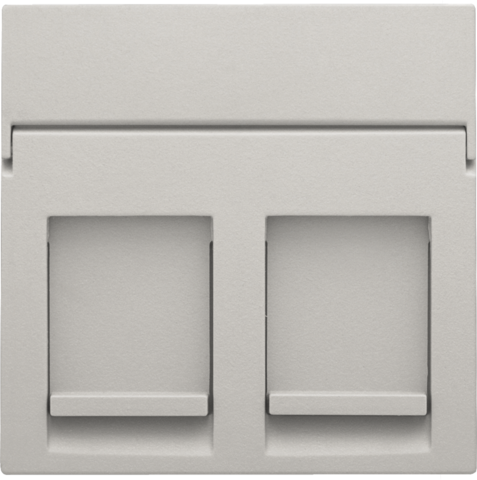 Niko 102-65200: Centraalplaat data 2x RJ, light grey