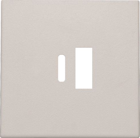 Afwerkingsset voor dubbele smart USB-A- en USB-C-lader, ligh