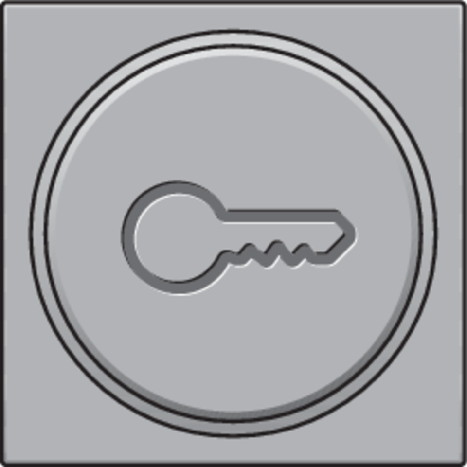 Niko 121-64009: Afwerkingsset met doorschijnende ring met sleutelsymbool voor drukknop 6A met amberkleurige led met E10-lampvoet, sterling coated - Image 2