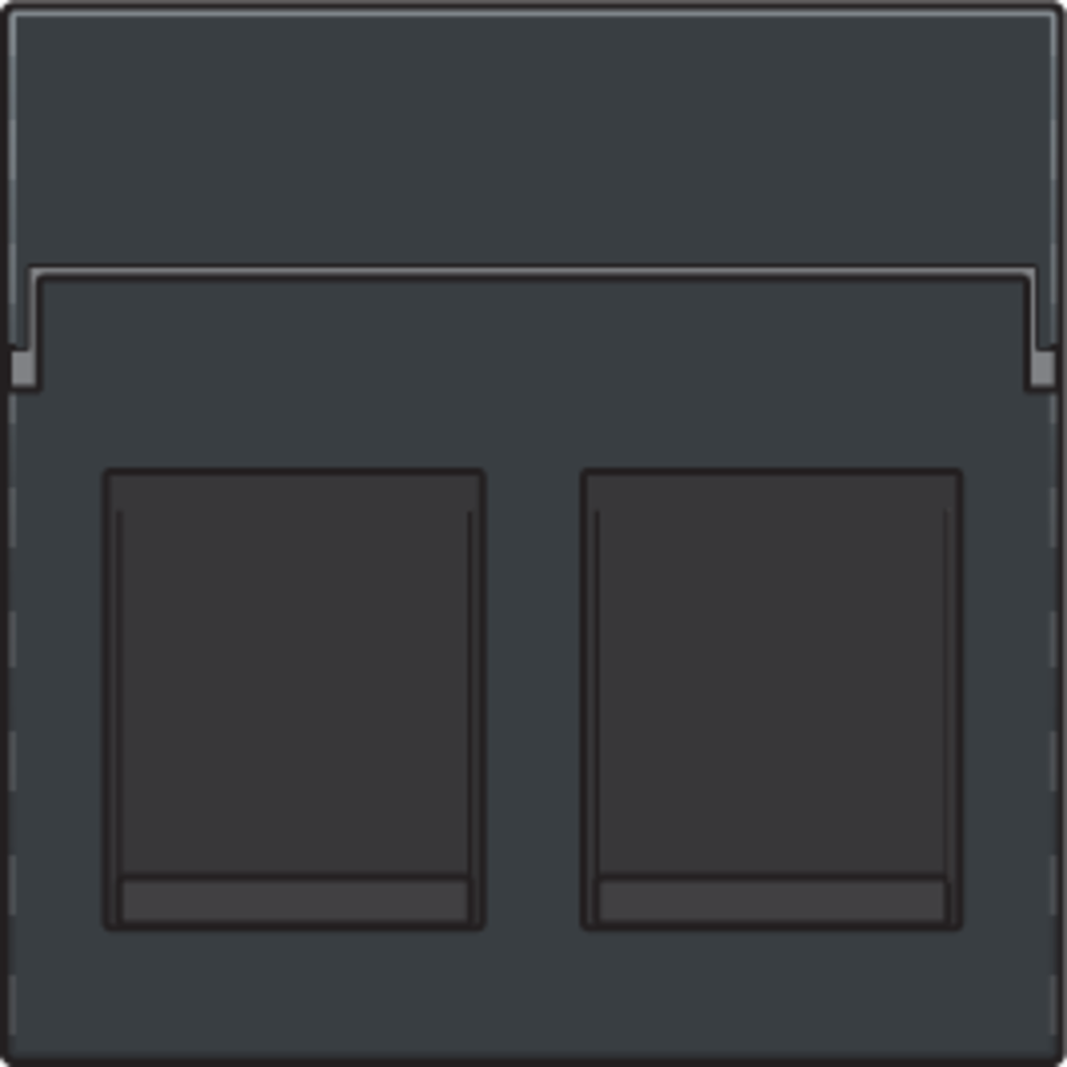 Niko 122-65200: Centraalplaat data 2x RJ, anthracite coated - Image 2