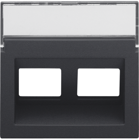 Centraalplaat data 2x RJ schuine uitgang, anthracite coated