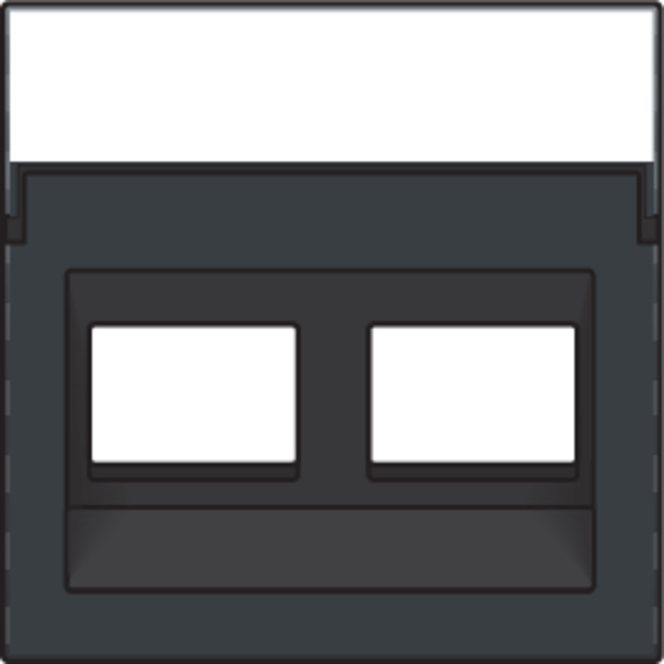 Niko 122-65400: Centraalplaat data 2x RJ schuine uitgang, anthracite coated - Image 2