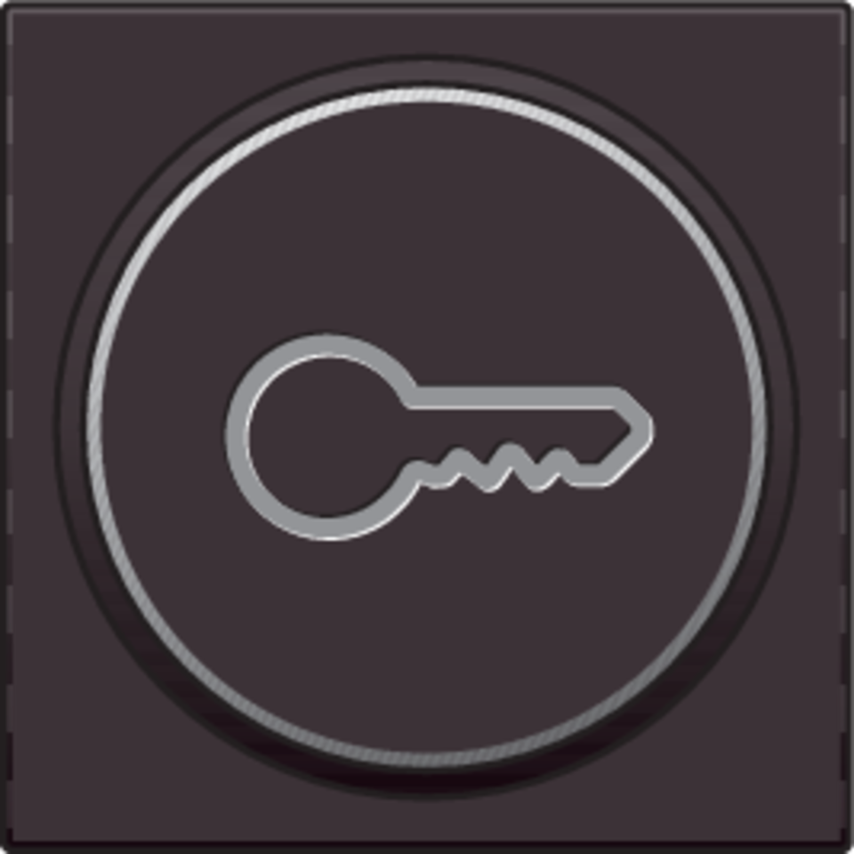 Niko 124-64009: Afwerkingsset met doorschijnende ring met sleutelsymbool voor drukknop 6A met amberkleurige led met E10-lampvoet, dark brown coated - Image 2