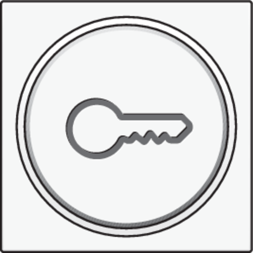 Niko 154-64009: Afwerkingsset met doorschijnende ring met sleutelsymbool voor drukknop 6A met amberkleurige led met E10-lampvoet, white coated - Image 2