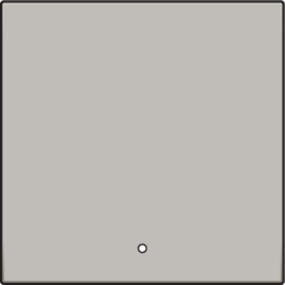 Niko 157-32002: Afwerkingsset met lens voor een enkelvoudige elektronische schakelaar of drukknop, champagne coated - Image 2