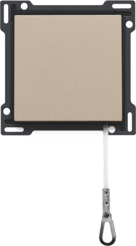 Afwerkingsset voor trekschakelaar, champagne coated