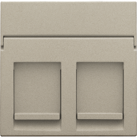 Niko 157-65200: Centraalplaat data 2x RJ, champagne coated