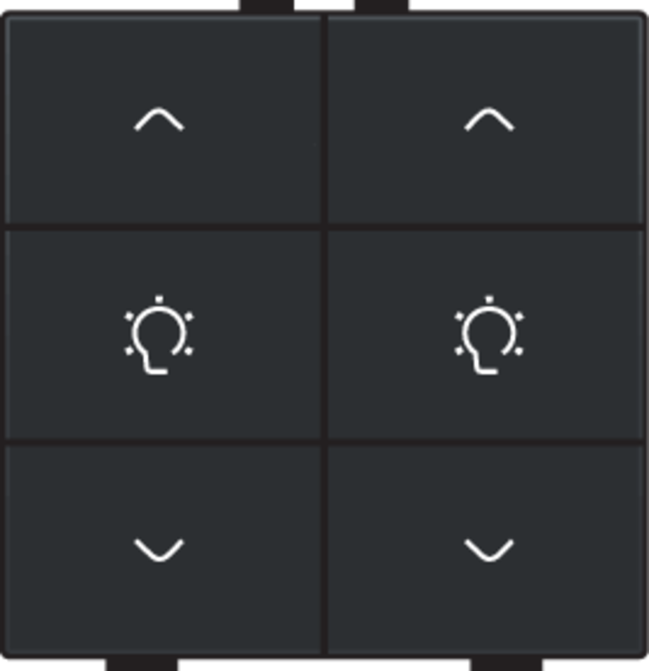 Niko 161-51046: Dubbele dimbediening voor Niko Home Control, black coated - Image 2