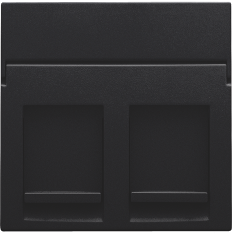 Niko 161-65200: Centraalplaat data 2x RJ, black coated
