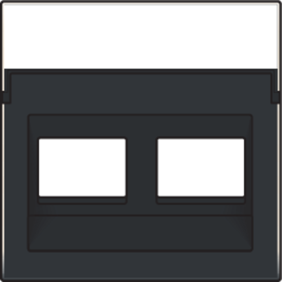 Niko 200-65400: Centraalplaat data 2x RJ schuine uitgang, piano black coated - Image 2