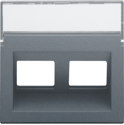 Centraalplaat data 2x RJ schuine uitgang, blue grey coated