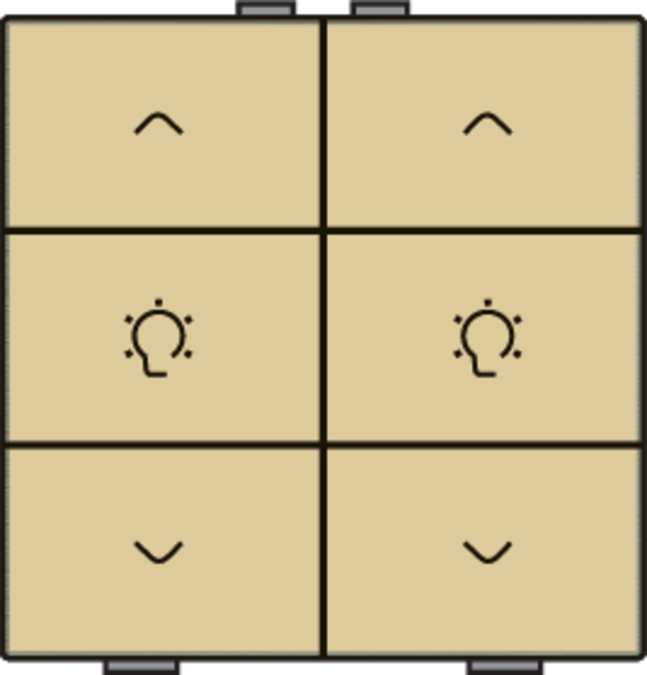 Niko 221-51046: Dubbele dimbediening voor Niko Home Control, gold coated - Image 2