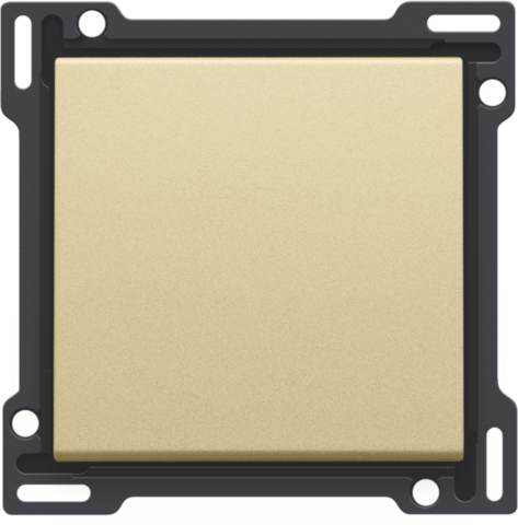 Afwerkingsset voor enkelvoudige schakelaar of drukknop, gold