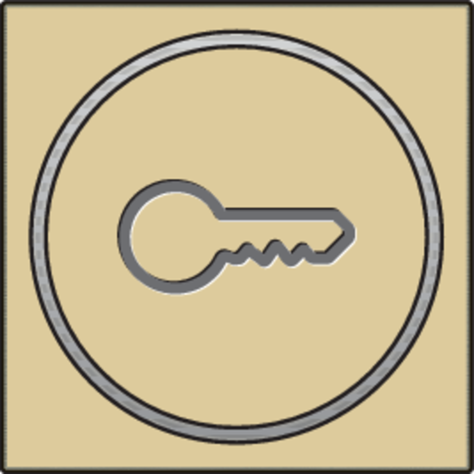 Niko 221-64009: Afwerkingsset met doorschijnende ring met sleutelsymbool voor drukknop 6A met amberkleurige led met E10-lampvoet, gold coated - Image 2