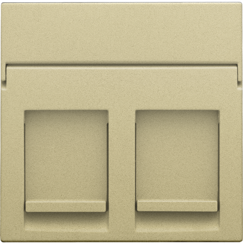 Niko 221-65200: Centraalplaat data 2x RJ, gold coated