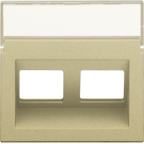 Centraalplaat data 2x RJ schuine uitgang, gold coated