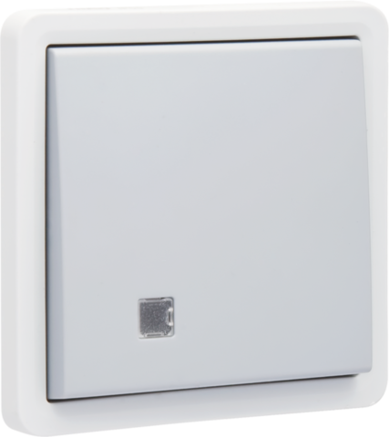 Niko 700-30000: Spuitwaterdichte, verlichtbare enkelvoudige drukknop 10 A/250 Vac met doorschijnend venster en een N.O.-of N.G.-contact, met schroefklemmen, grijs