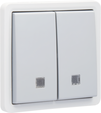 Niko 700-35105: Spuitwaterdichte, verlichtbare dubbele drukknop 10 A/250 Vac met 2 N.O.- of N.G.-contacten met insteekklemmen, grijs