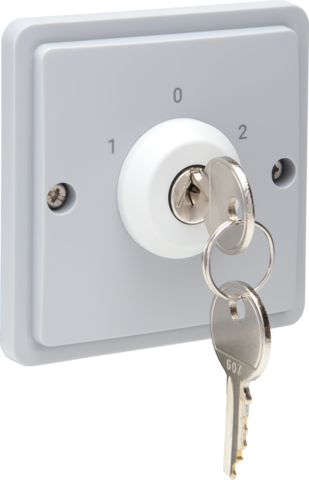 Spuitwaterdichte sleutelschakelaar 10 A met schroefklemmen,g