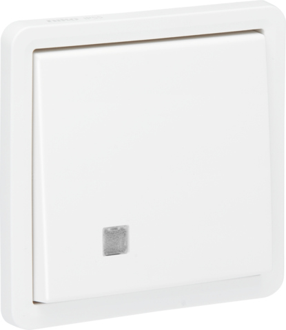 Spuitwaterdichte tweepolige controleschakelaar 10 AX/250 Vac