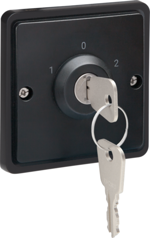 Spuitwaterdichte sleutelschakelaar 10 A met schroefklemmen,z