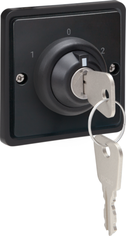 Spuitwaterdichte sleutelschakelaar 16 A met schroefklemmen,